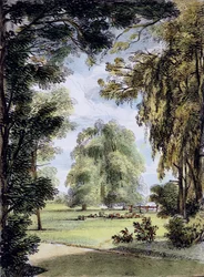 Los árboles hermanos, Kew Gardens, lámina 8 de 